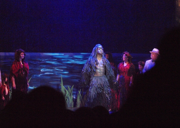 Photo Coverage: Curtain Call and Opening Night Celebration Of 3-D Theatricals' TARZAN THE STAGE MUSICAL BASED ON THE DISNEY FILM Image