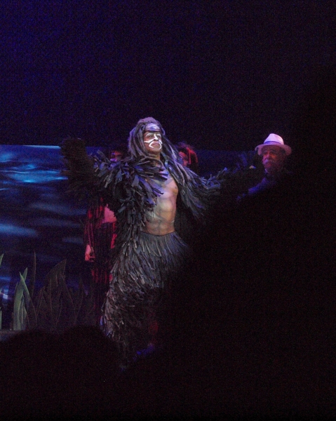 Photo Coverage: Curtain Call and Opening Night Celebration Of 3-D Theatricals' TARZAN THE STAGE MUSICAL BASED ON THE DISNEY FILM Image