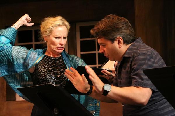 Photo Flash: Cape Rep Theatre Hosts 2015 Summer Starlight Benefit Image