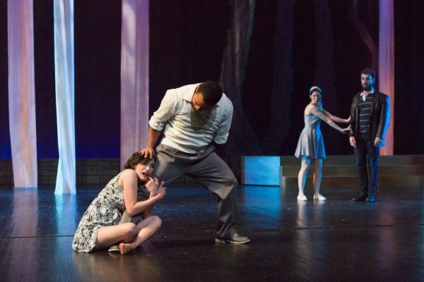 Photo Flash: First Look at Michigan Shakespeare Festival's A MIDSUMMER NIGHT'S DREAM Image