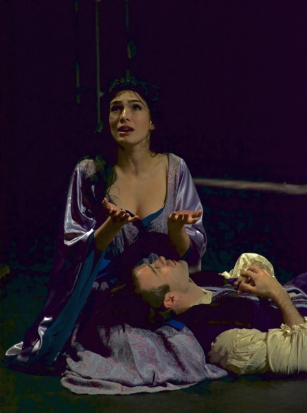 Photo Flash: First Look at Michigan Shakespeare Festival's HENRY IV  Image