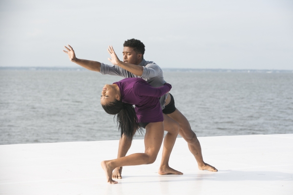 Photo Flash: 2015 Fire Island Dance Festival Breaks Records with Nearly $545K Raised Image