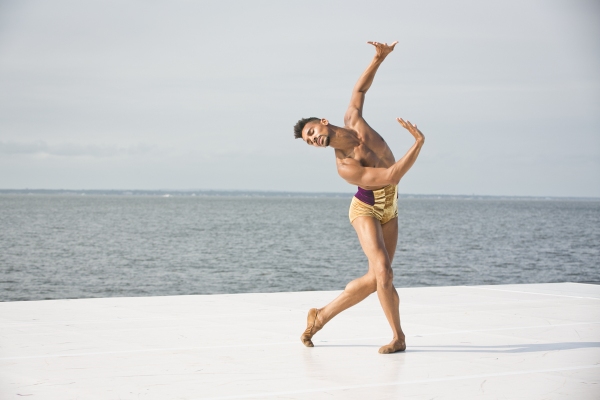 Photo Flash: 2015 Fire Island Dance Festival Breaks Records with Nearly $545K Raised 