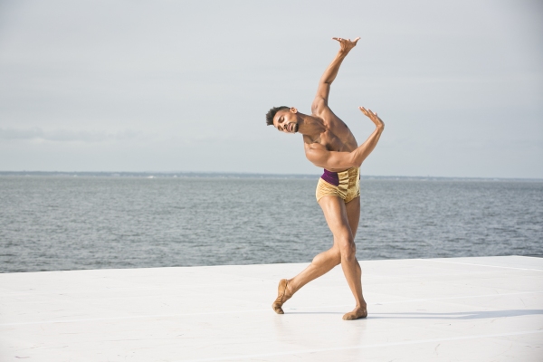 Photo Flash: 2015 Fire Island Dance Festival Breaks Records with Nearly $545K Raised Image