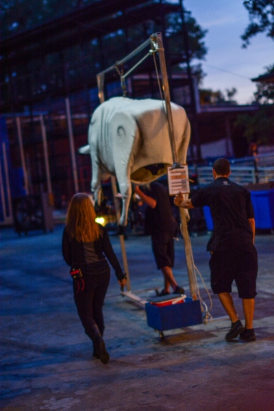 Exclusive Photo Flash: Go Backstage at INTO THE WOODS at the Muny with Headley, McClure, Samonsky & More! Image