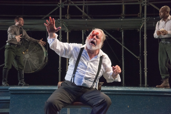 Photo Flash: First Look at Will Lyman in Commonwealth Shakespeare's KING LEAR, Opening Tonight 