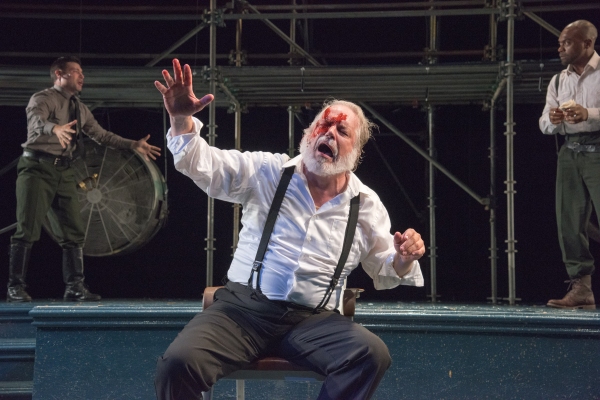 Photo Flash: First Look at Will Lyman in Commonwealth Shakespeare's KING LEAR, Opening Tonight Image