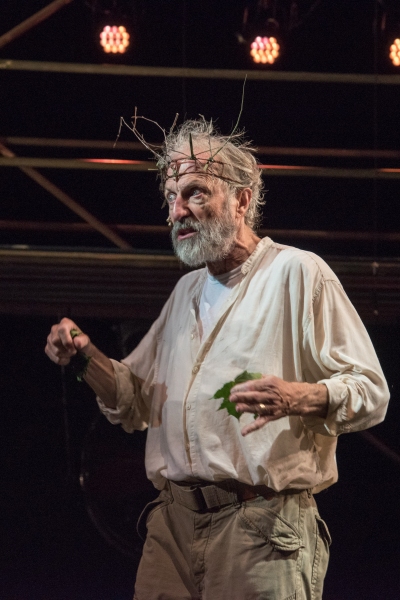 Photo Flash: First Look at Will Lyman in Commonwealth Shakespeare's KING LEAR, Opening Tonight Image