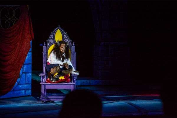 Photo Flash: First Look at Kate Rockwell, Nicholas Rodriguez and More in The Muny's BEAUTY AND THE BEAST Image