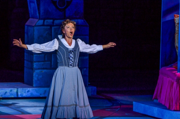 Photo Flash: First Look at Kate Rockwell, Nicholas Rodriguez and More in The Muny's BEAUTY AND THE BEAST Image