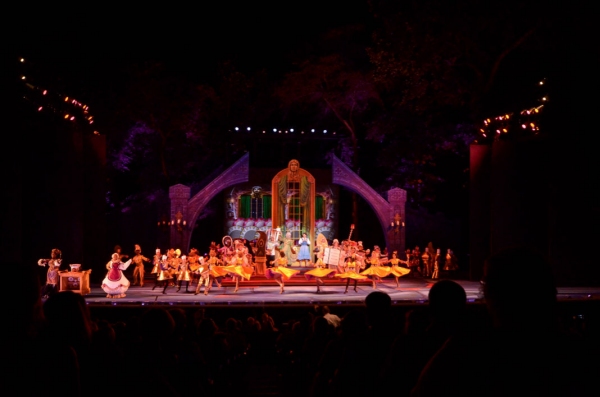 Photo Flash: First Look at Kate Rockwell, Nicholas Rodriguez and More in The Muny's BEAUTY AND THE BEAST Image