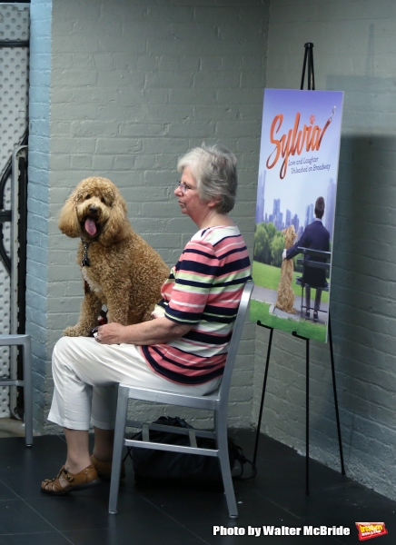 Photo Coverage: Calling All Dogs! SYLVIA Team Seeks a K-9 Counterpart for Annaleigh Ashford! Image
