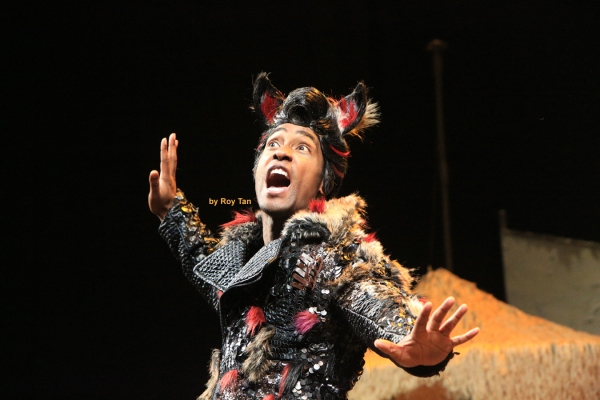 Photo Coverage: First Look at THE THREE LITTLE PIGS, Starting Tonight at The Palace Theatre Image