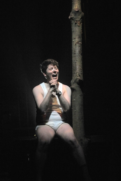 Photo Flash: First Look at NEVILLE's ISLAND at Stephen Joseph Theatre Image