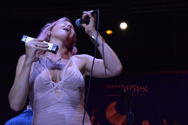Photo Coverage: New York Pops and Pink Martini Play Forest Hills Stadium Image