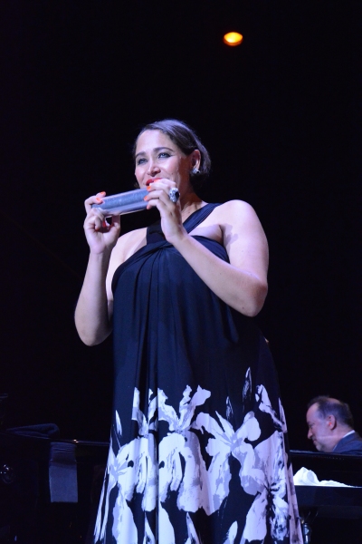 Photo Coverage: New York Pops and Pink Martini Play Forest Hills Stadium 