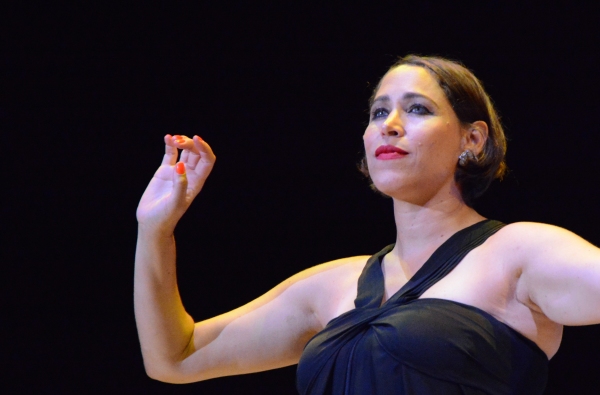 Photo Coverage: New York Pops and Pink Martini Play Forest Hills Stadium Image