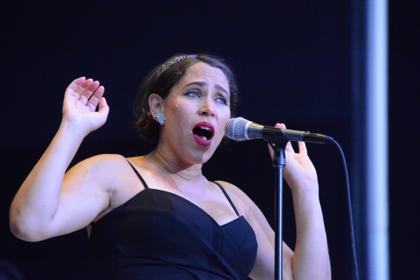 Photo Coverage: New York Pops and Pink Martini Play Forest Hills Stadium Image