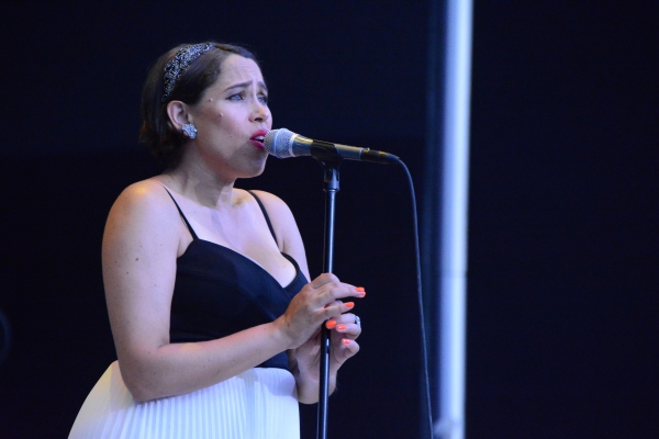 Photo Coverage: New York Pops and Pink Martini Play Forest Hills Stadium Image