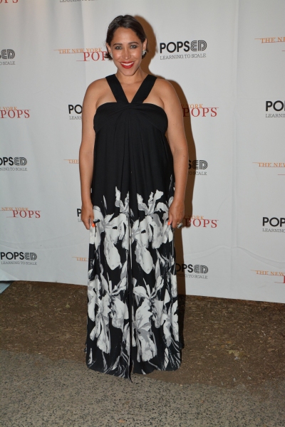 Photo Coverage: New York Pops and Pink Martini Play Forest Hills Stadium Image