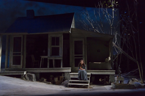 Photo Flash: First Look at Audra McDonald, Will Swenson and More in WTF's A MOON FOR THE MISBEGOTTEN Image