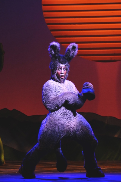 Photo Flash: First Look at Moonlight Stage Productions' SHREK: THE MUSICAL Image