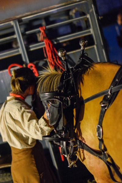 Photo Flash: Backstage With the Cast of The Muny's OKLAHOMA! Image