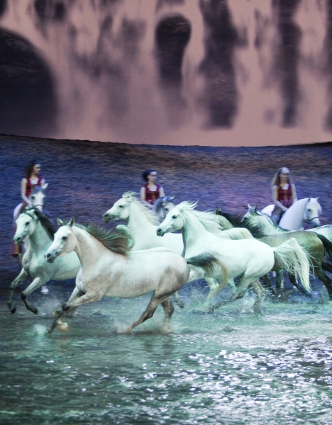 Photo Flash: First Look at Cavalia's ODYSSEO in San Francisco Image
