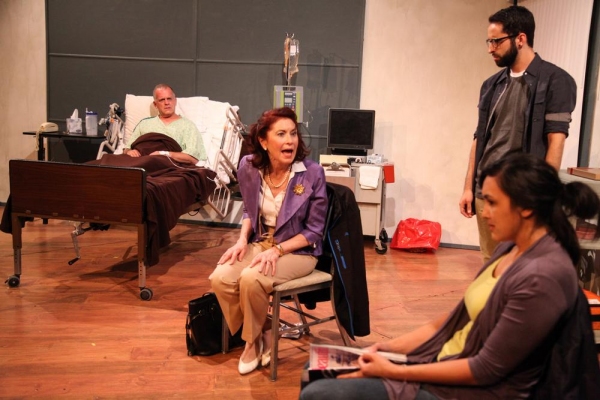 Photo Flash: First Look at AstonRep's THE LYONS, Beginning Tonight at The Raven Theatre Image