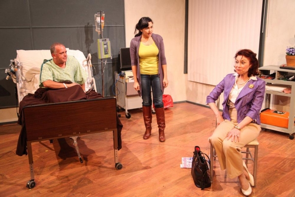 Photo Flash: First Look at AstonRep's THE LYONS, Beginning Tonight at The Raven Theatre Image