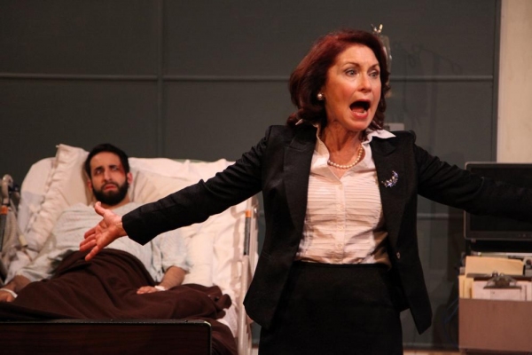 Photo Flash: First Look at AstonRep's THE LYONS, Beginning Tonight at The Raven Theatre Image