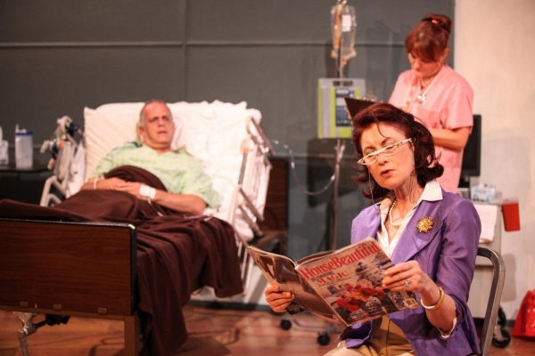 Photo Flash: First Look at AstonRep's THE LYONS, Beginning Tonight at The Raven Theatre 