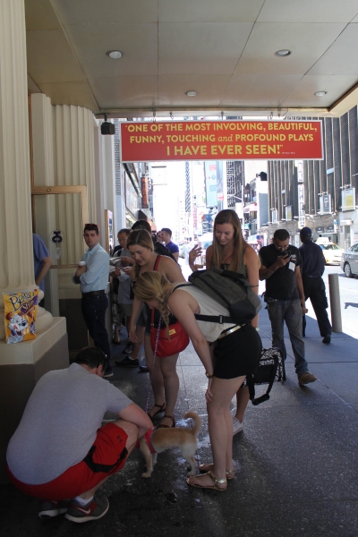 Photo Flash: Inside SYLVIA's Broadway Box Office Opening! Image