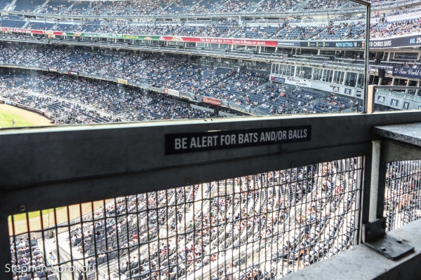 Photo Coverage: GENTLEMAN'S GUIDE's Bryce Pinkham Watches the Yankees Murder the Orioles Image