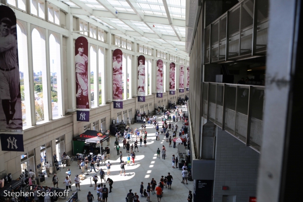 Photo Coverage: GENTLEMAN'S GUIDE's Bryce Pinkham Watches the Yankees Murder the Orioles Image