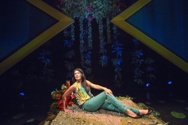 Photo Flash: First Look at Debra Ehrhardt in JAMAICA FAREWELL at the Royal George Theatre 