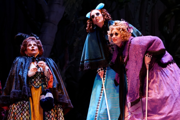 Photo Flash: First Look at INTO THE WOODS at Lyric Stage Image