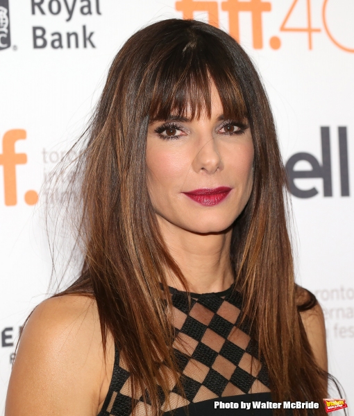 Photo Coverage: On the Red Carpet at TIFF: OUR BRAND IS CRISIS Image