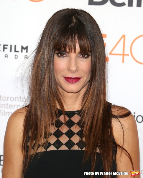 Photo Coverage: On the Red Carpet at TIFF: OUR BRAND IS CRISIS Image