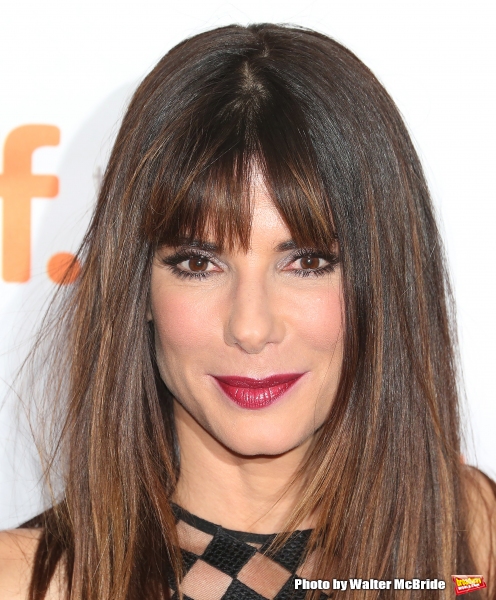 Photo Coverage: On the Red Carpet at TIFF: OUR BRAND IS CRISIS Image