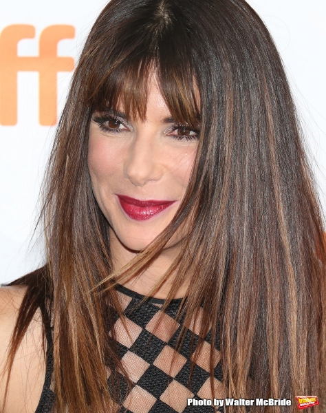 Photo Coverage: On the Red Carpet at TIFF: OUR BRAND IS CRISIS Image