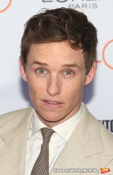 Photo Coverage: On the Red Carpet at TIFF: THE DANISH GIRL Image