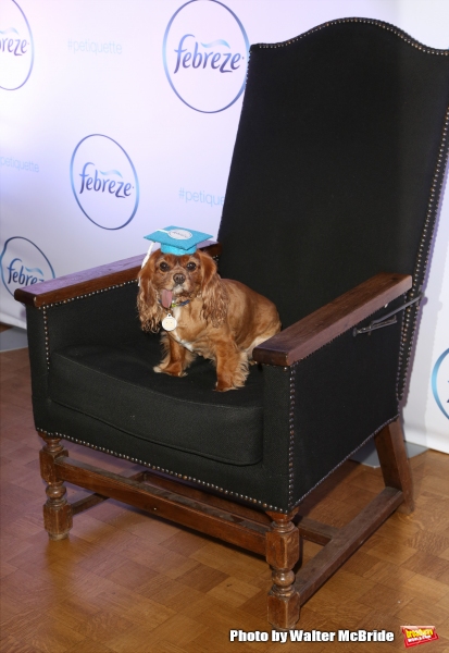 Photo Coverage: Rumer Willis Attends the Febreze School Of #Petiquette Image