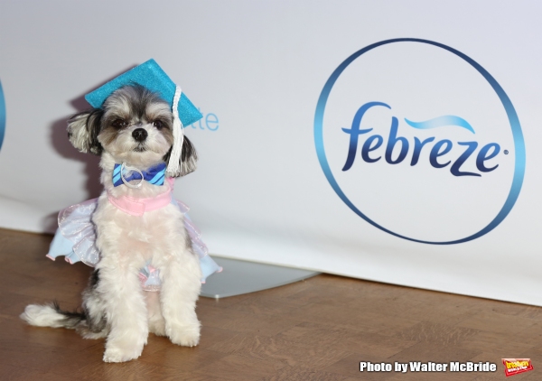 Photo Coverage: Rumer Willis Attends the Febreze School Of #Petiquette Image