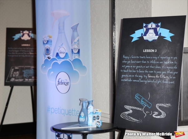 Photo Coverage: Rumer Willis Attends the Febreze School Of #Petiquette Image
