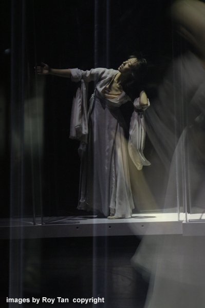 Photo Flash: First Look at Sadler's Well's GENESIS, by Sidi Larbi Cherkaoui & Yabin Wang  Image