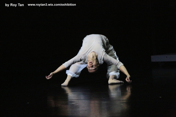 Photo Flash: First Look at Sadler's Well's GENESIS, by Sidi Larbi Cherkaoui & Yabin Wang  Image