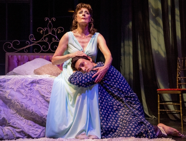 Photo Flash: First Look at Cygnet Theatre's Noel Coward Rep - THE VORTEX and HAY FEVER Image