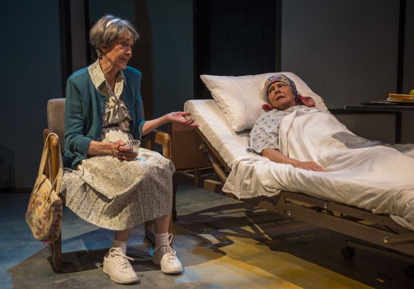 Photo Flash: Shattered Globe's MARVIN'S ROOM at Theater Wit - 25th Anniversary Production Image