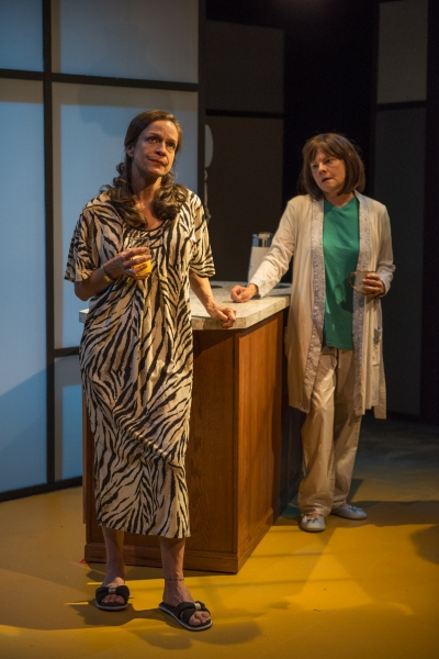 Photo Flash: Shattered Globe's MARVIN'S ROOM at Theater Wit - 25th Anniversary Production Image